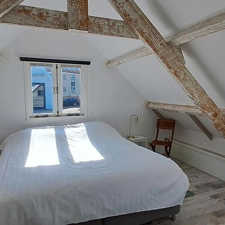 Zilvermeeuw Bergen aan Zee Bagian luar foto