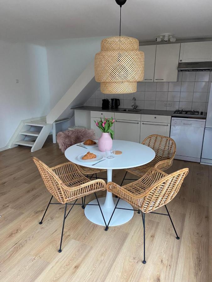 Zilvermeeuw Bergen aan Zee Bagian luar foto