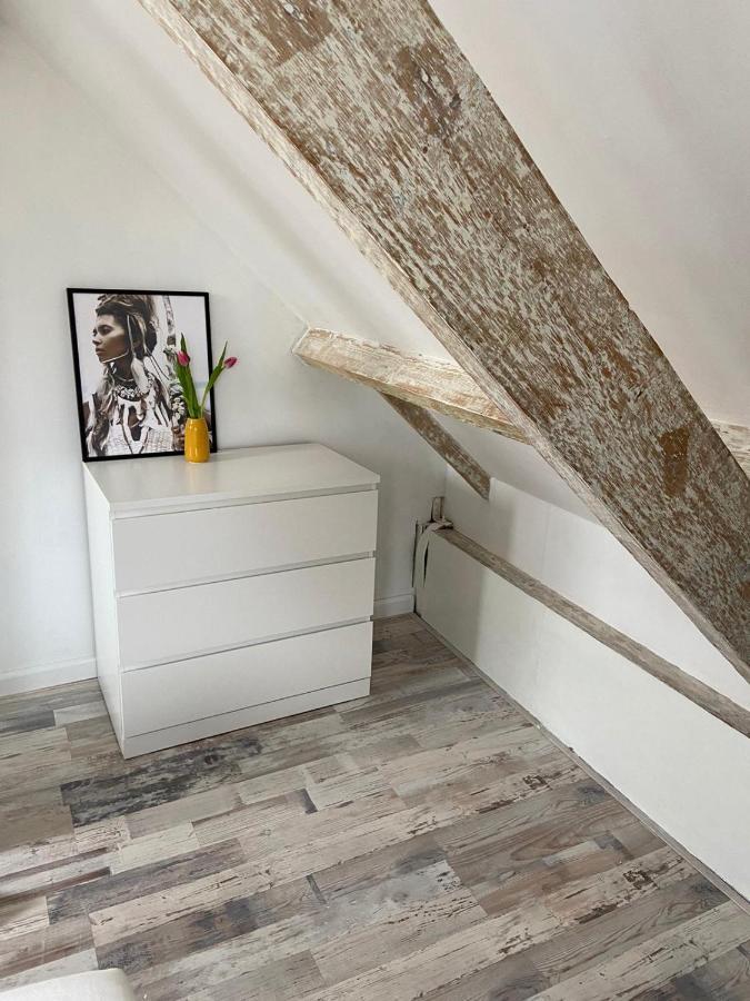 Zilvermeeuw Bergen aan Zee Bagian luar foto