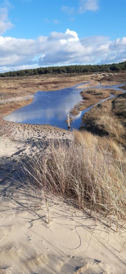 Zilvermeeuw Bergen aan Zee Bagian luar foto