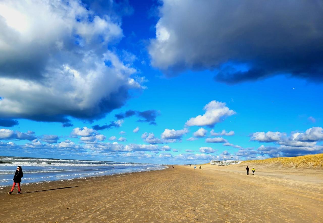 Zilvermeeuw Bergen aan Zee Bagian luar foto
