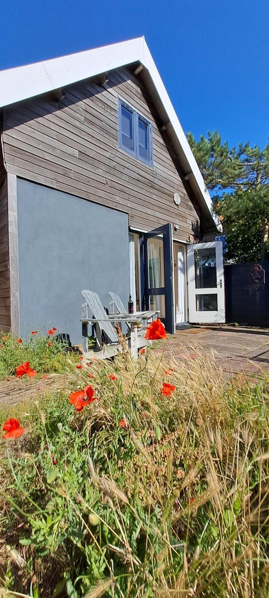 Zilvermeeuw Bergen aan Zee Bagian luar foto