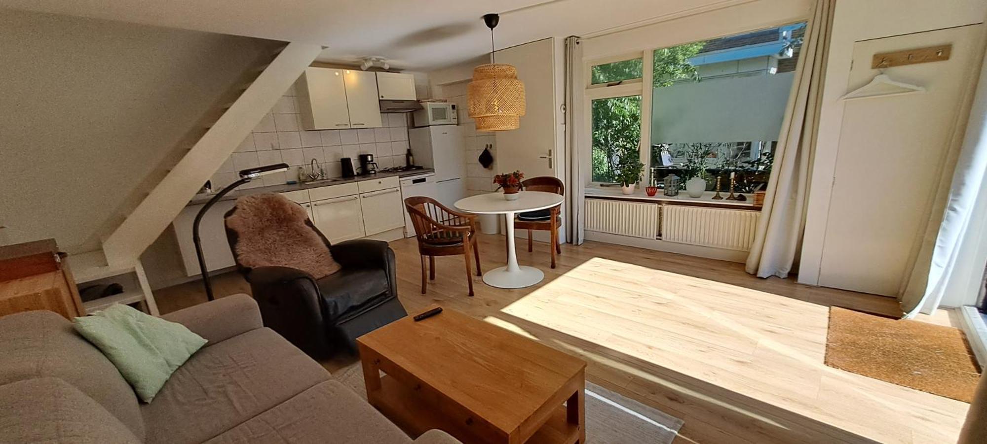 Zilvermeeuw Bergen aan Zee Bagian luar foto